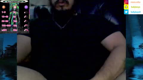 Snapshot of domanarchist chatting on February 9, 8:43 am Sullyboyx online show from February 9, 8:43 am