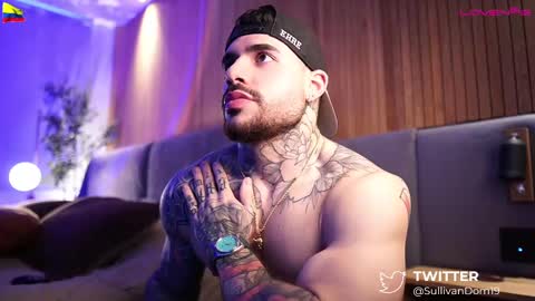 Dominic Sullivan online show from March 1, 12:34 pm