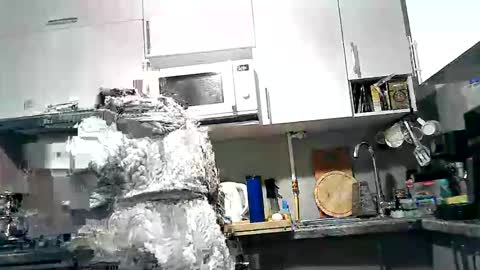 Dorrie Ann online show from September 28, 4:32 am