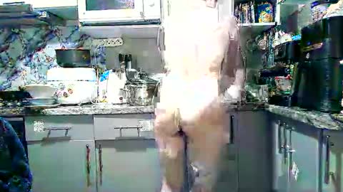 Dorrie Ann online show from October 21, 6:33 pm