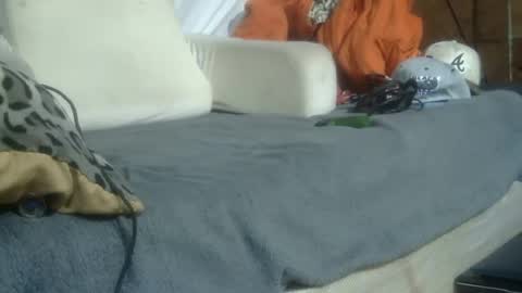 Dreadedted online show from July 27, 10:01 am