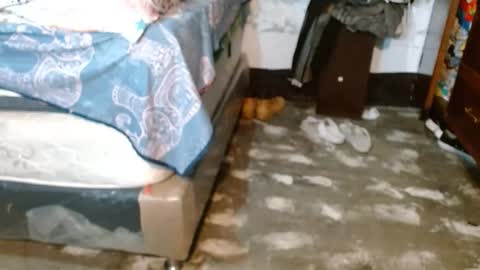 dreamreal online show from March 20, 11:04 am