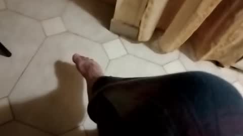 dthedog12 online show from October 28, 3:07 am