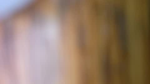 dVe1oPe online show from September 10, 9:43 am