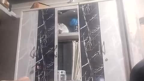 Rockhandsome online show from March 27, 5:25 pm