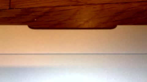 Snapshot of easymaxx9 chatting on September 16, 6:00 pm EasyMaxx online show from September 16, 6:00 pm