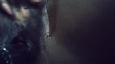 Snapshot of ebonykiki chatting on January 23, 11:36 pm ebonykiki online show from January 23, 11:36 pm