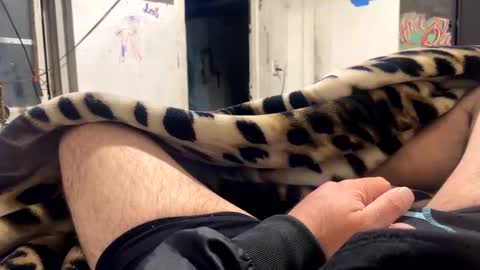 ehdgher online show from February 24, 10:51 am