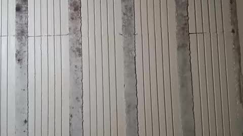 Sebastin online show from October 30, 11:00 am