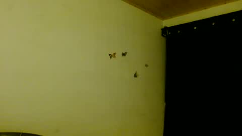 ela_3611 online show from July 3, 3:44 am