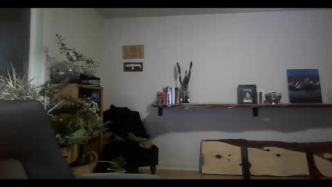 fox online show from February 11, 3:18 am