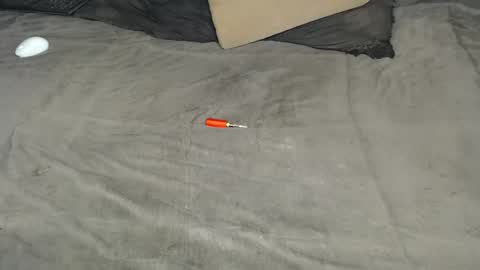 elgsslt online show from March 11, 12:30 pm