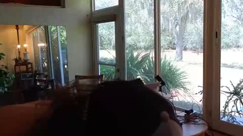 eliberator online show from March 11, 6:00 pm