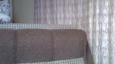 ellajohnsonx online show from December 1, 7:38 pm