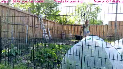 Ella Bella Bo Bella online show from June 1, 1:34 pm