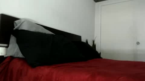 elputoquetegusta online show from January 9, 10:48 pm