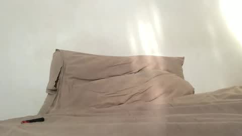 englisharabcock online show from October 29, 2:08 pm