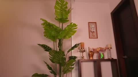 Venus Skye online show from April 30, 8:36 pm