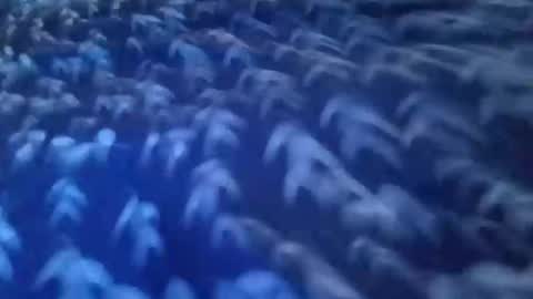 Justin69  online show from April 18, 10:28 am