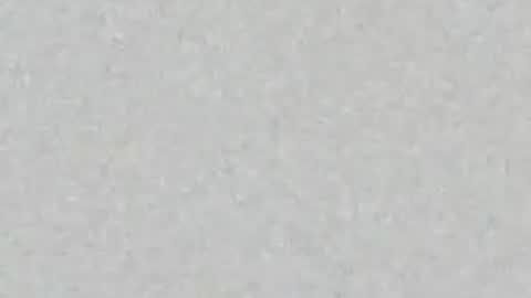 even_scoty online show from August 6, 12:14 pm