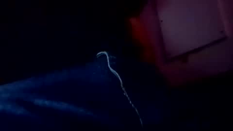 Evocation online show from February 3, 4:57 am