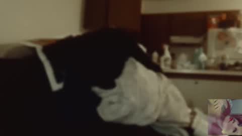 Exoticlexxii online show from September 9, 8:09 pm