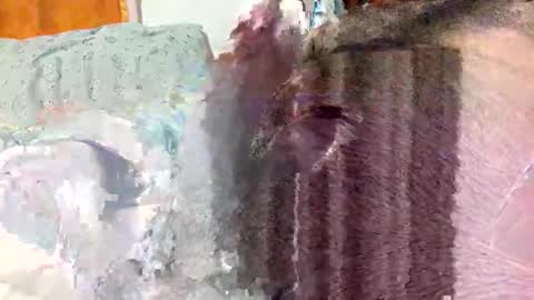 ezzz_au20 online show from November 2, 5:29 am