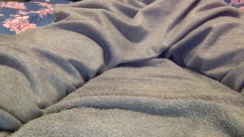 facedownassup219267 online show from January 25, 8:42 pm