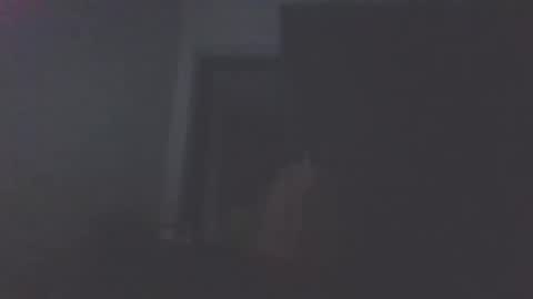 fantasticd1916 online show from March 7, 3:17 am