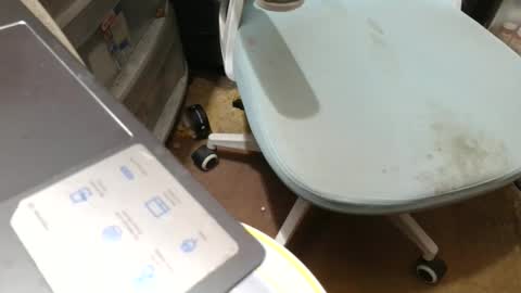 Fred. online show from November 7, 8:55 pm