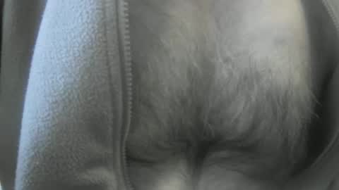 feardubh online show from January 19, 3:53 pm