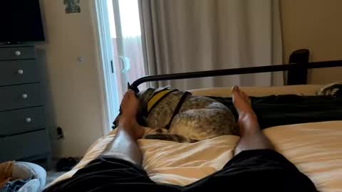 FEETOMINES online show from June 4, 3:01 am