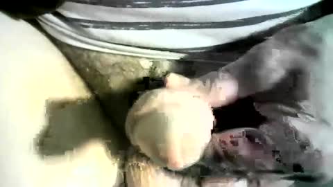 felicaste online show from March 8, 12:22 am