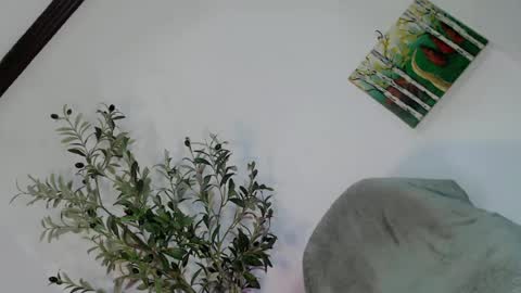 femboy_veronica online show from May 3, 6:19 am