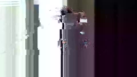 fer28639 online show from April 11, 4:44 pm