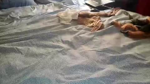 ffst0ckings online show from December 25, 7:56 pm