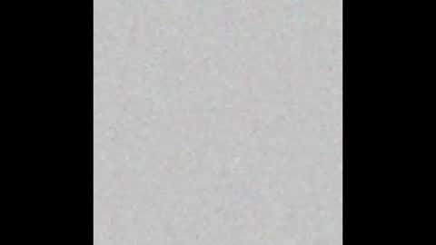 charlie online show from February 2, 9:16 am