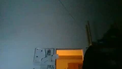 fine_nice online show from February 16, 6:06 pm