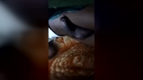 fistaz_junior online show from July 2, 12:52 am