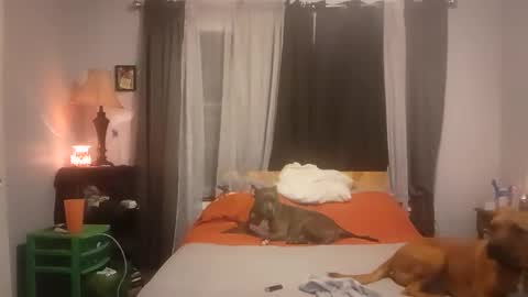 Snapshot of fkmylife6669 chatting on October 13, 3:19 am Nate online show from October 13, 3:19 am