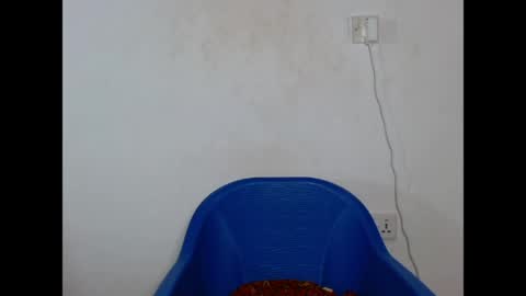 flasher_bigboobs online show from May 17, 4:38 pm