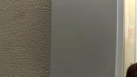 flikyy online show from January 16, 12:30 am