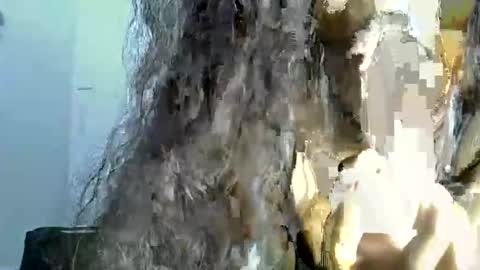 FlirtyTrouble online show from March 7, 4:40 pm