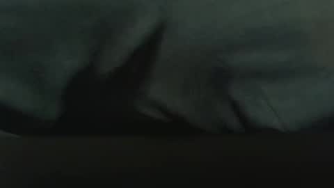 fonixxx69 online show from January 8, 12:22 pm