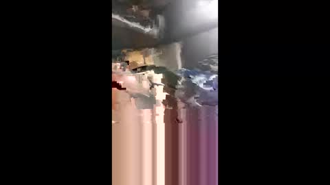 freddyalready online show from January 17, 11:57 pm