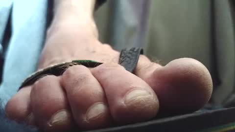 Greedy Fred online show from February 10, 2:31 pm