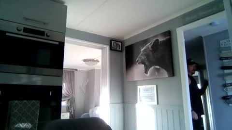 bob online show from November 25, 2:38 pm