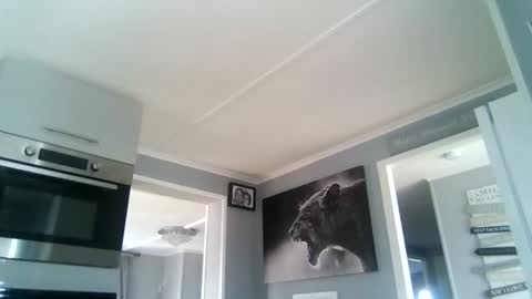 Snapshot of friskyneedsum chatting on October 22, 12:29 pm bob online show from October 22, 12:29 pm