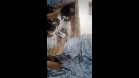 funinbed607918 online show from May 4, 6:20 am