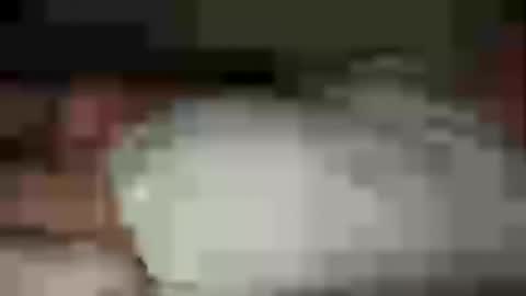 funnyhans online show from July 25, 11:24 pm